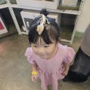 쥬니멀 | 청주 쥬니멀 동물원 아이랑 동물체험 놀이방까지 이용 후기
