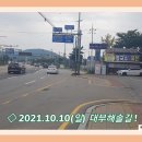 대부해솔길 1-1코스(순환코스) 이미지