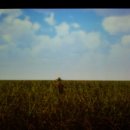 고운나라 이미지