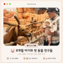 강남키즈랜드어린이집 - 강남구 | 🐷 8개월 아기와 시흥 쥬뗌므 키즈랜드 | 어린이집에서 만난 동물 친구들 직접 만나러 갔어요
