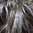 다나한헤어 | 다나한 새치 염색약 [ NO PPD ] 후기 - N2 자연갈색