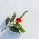 가족민박 이미지