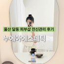 울산 남구 달동 피부샵 누에아에스테틱 전신관리 추천