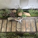 섬띠농장 | 태국 방콕파타야 패키지여행 3박5일 모두투어 노팁노옵션 후기 4탄