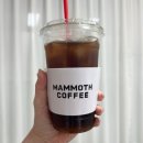 매머드익스프레스중동현대점