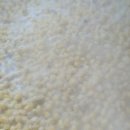 복동농장 이미지