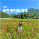 용도령영농조합 (빨간날 체험장터) | 하동 여행 가볼만한곳 북천 꽃양귀비 축제 주차 및 정보