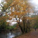 철탑민박 이미지