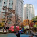 연세파라곤치과의원 이미지