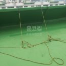 (주)정림산업 - 1876 | 대전 정림동아파트 외벽창틀 빗물누수 실리콘 코킹작업 후기 !!