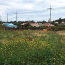 한경면 청수물마을 이미지