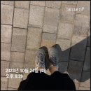 서천레스피아 앞 횡단보도(생태공원 쪽) | 신동탄포레자이 임장후기 : 이곳이 거래가 이렇게...아파트분석, 다운거래, 전화임장, 앞으로 전망)