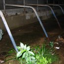 늘봄목장 이미지