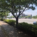 아프리카안경(스타필드고양) | 리뉴얼 오픈! 고양 스타필드마켓 킨텍스점 - 올리브영 / 자주(JAJU) / 누하스 / 아프리카 안경 / 더...