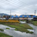 충주공설시장(충의동) | 충주 5일장 구경기🍳 왕란부터 숯불김까지 진짜 살만한 리스트