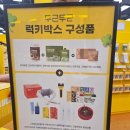 럭키 | 심으뜸 꼬밥꼬밥 럭키박스 / 실물영접 후기