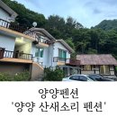 산새소리 | 양양펜션 즐거웠던 우정여행 산새소리펜션 후기