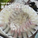 갯바위회수산 | 울릉도 저동 오징어 회타운 강릉수산 모둠회 초장집 내돈내산 후기
