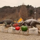 사춘기형제까지 좋아했던,마이 애니멀 스토리 in 평강 랜드. 귀여운 동물들과 자연 친화적인 체험 후기!