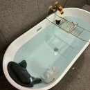 1인 세신샵 린 이미지