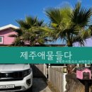 제주서쪽감성숙소 제주애물들다 이미지