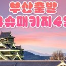 뉴글로벌여행사