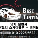 베스트틴팅