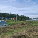 광산초등학교흘리분교장 이미지