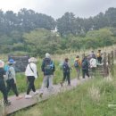 제주 수산리 곰솔 | [걸서한_방문후기] 바람을 가르며 걸었던 수산봉-항파두리
