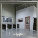 냥이를 사랑하는 멍멍이 | 마곡고양이파양 완전 정복 후기 대방출