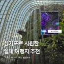 더 베이 | 싱가포르 시원한 실내 여행지 추천! 가든스 바이 더 베이 방문 후기 (ft. 슈퍼트리쇼)