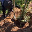 나무다락방 민박 이미지