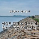 삼길포 워킹 봄 갑오징어 탐사와 대호만 배스낚시