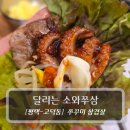 인즈 | 평택 서정리역 쭈꾸미맛집 :: 달리는 소와쭈삼 - 커플세트 후기