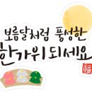 봄 펫살롱 이미지
