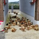 서대문자연사박물관(3월~10월) 이미지