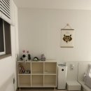 보니스테이 이미지