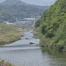 [9편] 2025년5월14일 토요일 DMZ평화의길 18코스를 다녀와서! 이미지