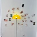 풍기동물병원 이미지