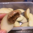 제주 세화카페 코코하 방문후기 사과넛버터 연예인관리법