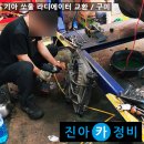 구미라지에타 이미지