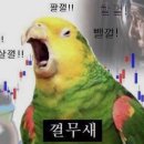 텐포 이미지