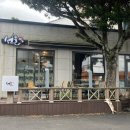 선흘숲 | 제주 동쪽 선흘 숲속 산장 분위기 [카페 선흘] 온실 속 브런치카페 내돈내산