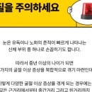 안경상회 이미지