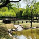 생태연못 이미지