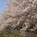 유준상사 이미지