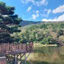 법기수원지 이미지