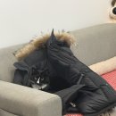 마리_마로