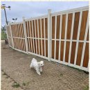 시화유치원 이미지