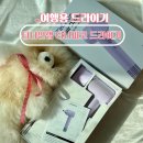 나인오토 | 미니드라이기 티나인랩 티니피코 여행용 드라이기 정착 후기